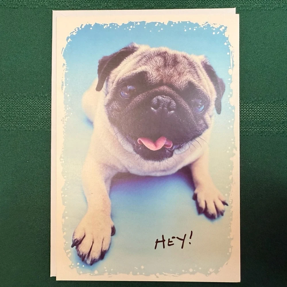 DaySpring 12 Greeting Cards With Envelopes Set #2